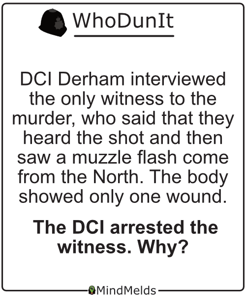 KewlActiveMinds - WhoDunIt Word Puzzle Brain Teaser