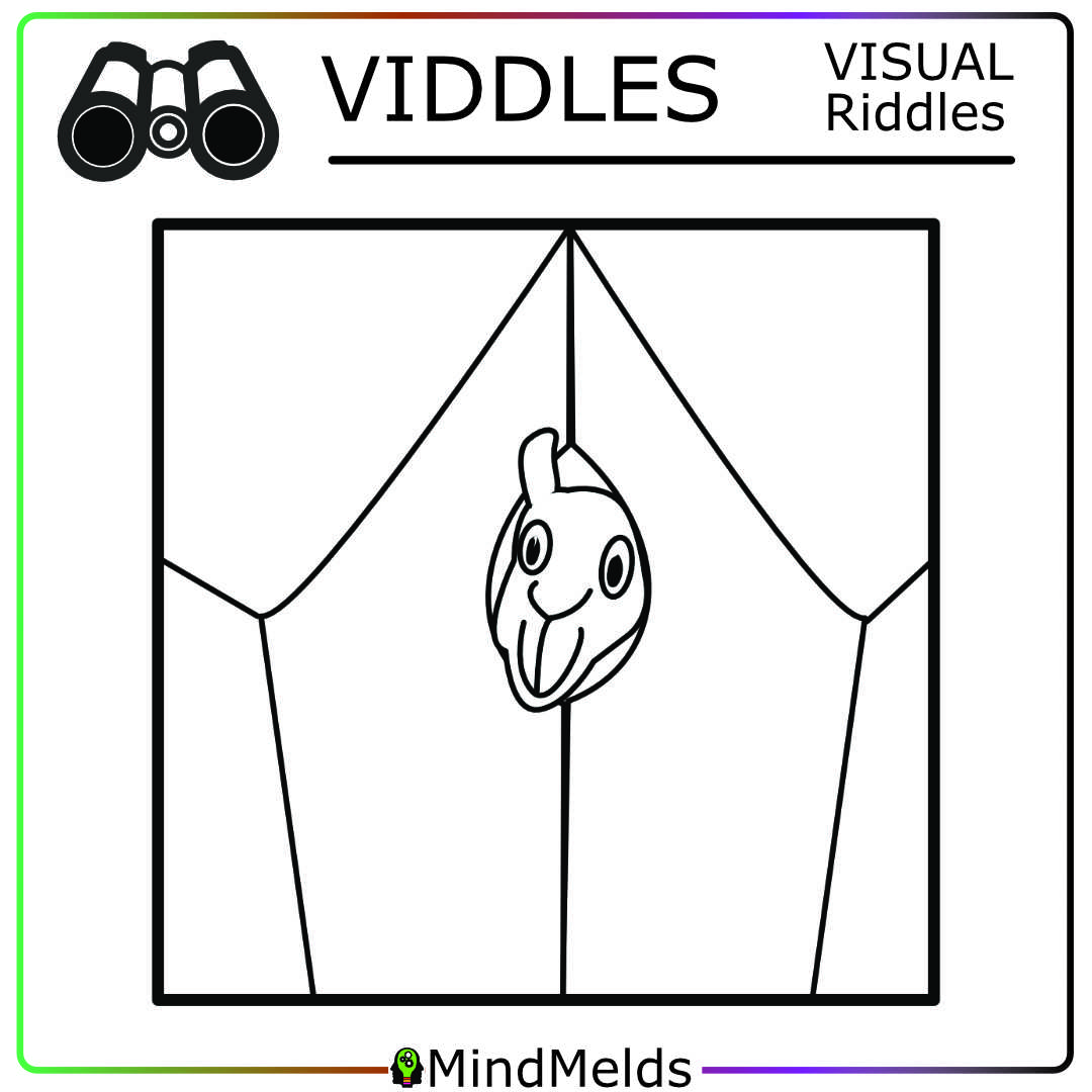 KewlActiveMinds Mindmelds - Viddle Visual Puzzle Brainteaser