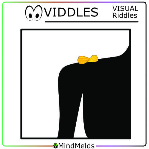 Daily Brainteaser Mindmelds - VIDDLES Visual Puzzle