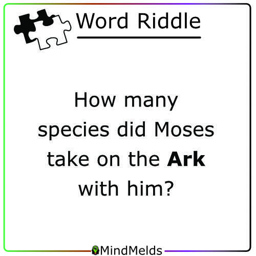Daily Word Riddle Mindmelds - Word Puzzle Brainteaser Brain Game v3