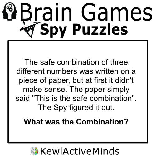 Spy Games Brain Puzzles Brainteasers